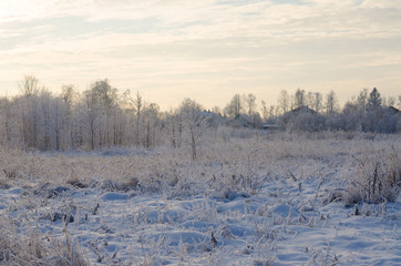Fototapeta na wymiar Winter forest on a frosty hot morning