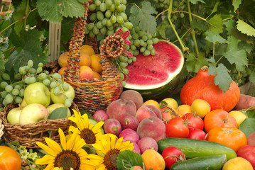     A lot of vegetables and fruits are laid out on the table 