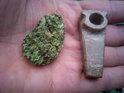 mariguana, marijuana, cannabis, hierba, verde, natural, medicinal, planta sagrada.