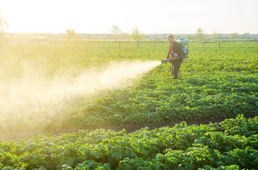 Farmer processing a potato plantation with a sprayer to protect from insect pests and fungal...