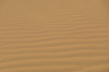 Waves of beach sand background 