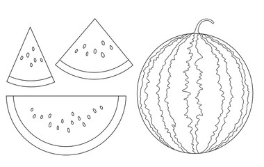 スイカ　輪郭線