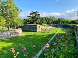 Parque de la Taconera en Pamplona. Vista de los fosos y ciervos del parque