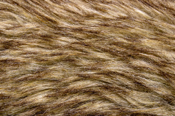 Macro, close-up of fur pattern, background, texture