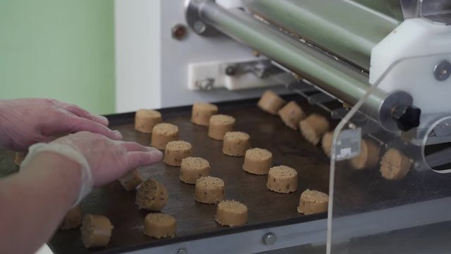 Automatic bakery production line with sweet cookies on conveyor belt equipment machinery in confectionary factory workshop, industrial food production