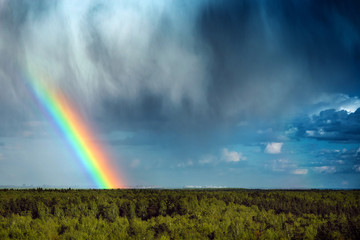 A rainbow on the horizon. seven colors of the rainbow in the sky above the forest. After the rain. Beautiful clouds.