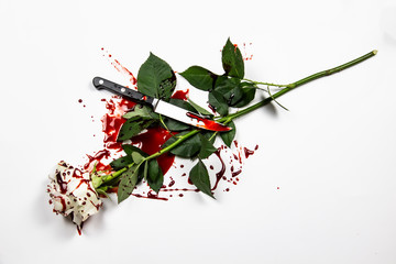 Beautiful and bloody white rose on the white background. Bloody rose - conceptual photo.  White rose with blood. © Olga