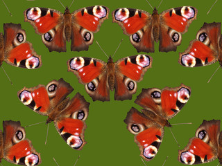 Butterflies on a green background. seamless pattern