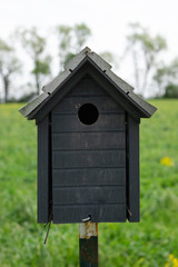 bird house