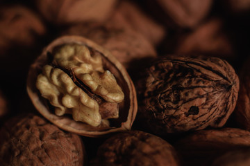 photos of walnuts made with a macro lens in Galicia, Sapin