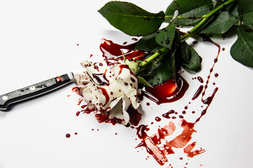 Beautiful and bloody white rose with knife on the white background. Bloody rose - conceptual photo.  White rose with knife and blood. © Olga