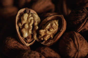 photos of walnuts made with a macro lens in Galicia, Sapin