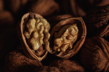 photos of walnuts made with a macro lens in Galicia, Sapin