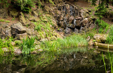 water flows down the mountain over rocks into a small lake with growing herbs and plants along the shore