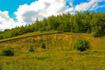 Naklejka premium summer landscape with a road