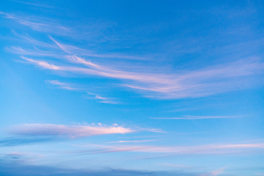 The sunset sky in the forest