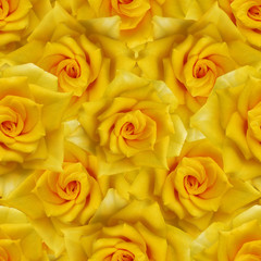 Seamless pattern with yellow roses. 