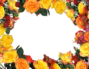 Frame of multi-colored roses on a white background.