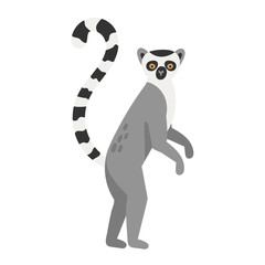 Lemur Cartoon character stay. Flat animal icon. Vector illustration isolated on white background. © Katie