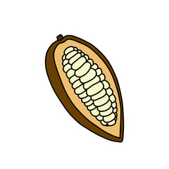 cacao fruit doodle icon, vector illustration