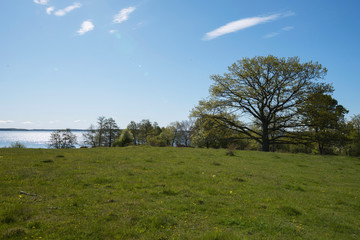 Spring landscape at a old viking tumulus on the island Adelsö and the church Adelsö kyrka close to Stockholm