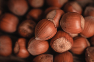photos of hazelnuts in a town in Galician,Spain.
