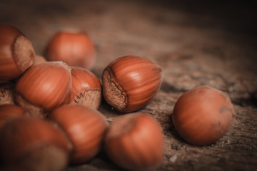 photos of hazelnuts in a town in Galician,Spain.