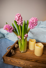 Beautiful pink hyacinths stand in a vase on an old wooden tray with candles, surprise concept.