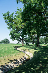 Fototapeta premium Two trees near a dry moat at Alexandria Park, in Peterhof, Russia.