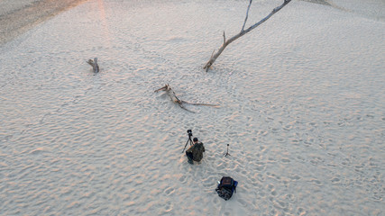 lonely withered tree by the river © Krzysztof