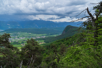 The municipality of Appiano in South Tyrol in northern Italy.