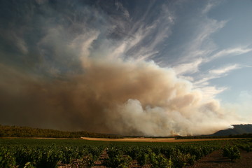 Fototapeta na wymiar Incendio forestal, 1 de julio de 2012, Hellín-Albacete-España