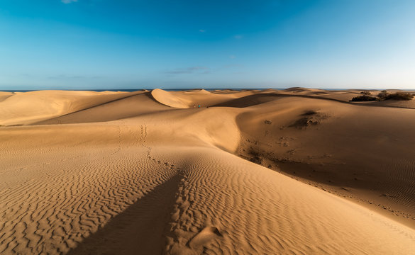 Vista de Playa del Ingl&eacute;s desde las dunas de Maspalomas al atardecer. En el suelo, el viento dibuja surcos (Gran Canaria)