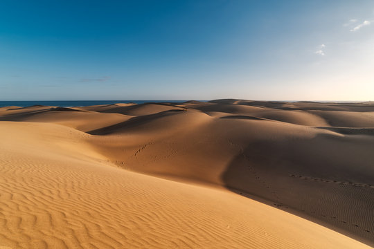 vista de las dunas de maspalomas (Gran Canaria) con la playa al fondo al atardecer © magui RF