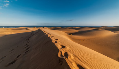 vista de la playa de maspalomas (Gran Canaria) desde la cima de una duna donde se dibuja un camino...