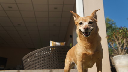 SONY DSC