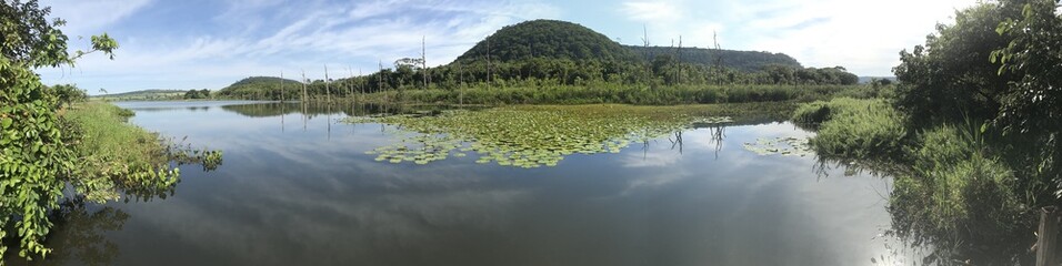 Lagoa com Vitórias Régias em Conquista Minas Gerais