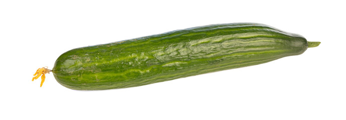 Fresh cucumber with its dried flower on white background