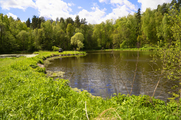 summer landscape with lake and trees