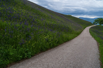The municipality of Appiano in South Tyrol in northern Italy.