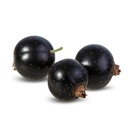 Black currants isolated on white background with clipping path