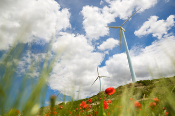 Renewable energy concept