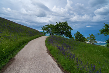 The municipality of Appiano in South Tyrol in northern Italy.