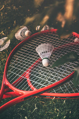 Badminton / Tennis Rackets with Rollers