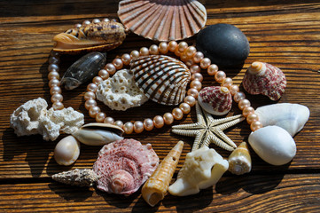 Variety of sea shells on a rustic wooden background with the string of pearls and starfish under the sunlight.