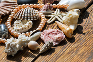 Variety of sea shells on a rustic wooden background with the string of pearls and starfish under the sunlight.