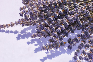 Beautiful dried bunch of lavender flowers on the white background close-up, shadows. Purple tone.
