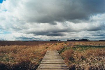Most drewniany w parku krajobrazowym, trawy, chmury błękit