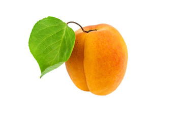 Fresh apricot with green leaf isolated on white background. Apricot with apricot leaf