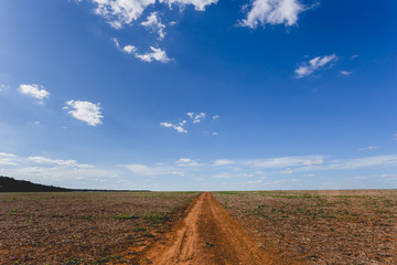 Fototapeta premium Dirt road towards tranquility blue sky